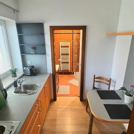 Homestay Apartman S Kuchyni V Soukromi U Areny *